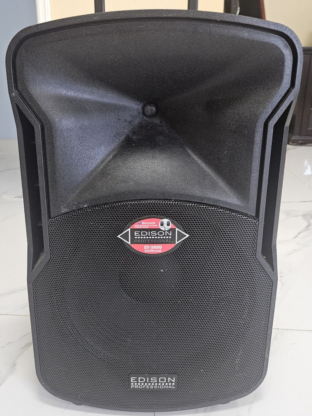 Professional Portable Speaker in Black